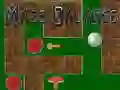 Maze Balance Maze Balance