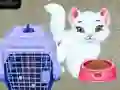 Baby Taylor Pet Care Baby Taylor Pet Care