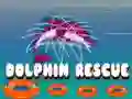 Dolphin Rescue