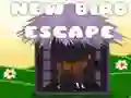 Horse escape Horse escape