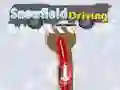 Snowfield Driving Snowfield Driving