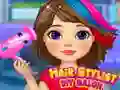 Hair Stylist DIY Salon Hair Stylist DIY Salon