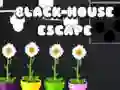 Black House Escape Black House Escape