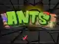 Ants Ants