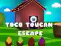 Toco Toucan Escape Toco Toucan Escape