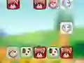 Animal Link Animal Link