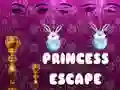 Princess Escape Princess Escape