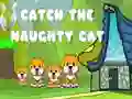 Catch the naughty cat Catch the naughty cat