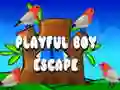 Playful Boy Escape Playful Boy Escape