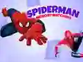 Spiderman Memory Matching Spiderman Memory Matching