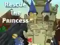 Rescue the Princess Rescue the Princess