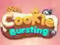 Cookie Busting Cookie Busting