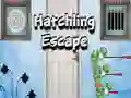 Hatchling Escape Hatchling Escape