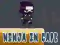 Ninja in Cape
