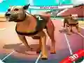 Crazy Dog Race Crazy Dog Race