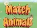 Match Animals Match Animals