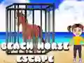 Beach Horse Escape Beach Horse Escape