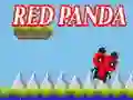 Red Panda Red Panda