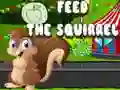 Feed the squirrel Feed the squirrel
