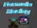 Formula Racing 