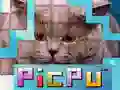 PicPu Cat PicPu Cat