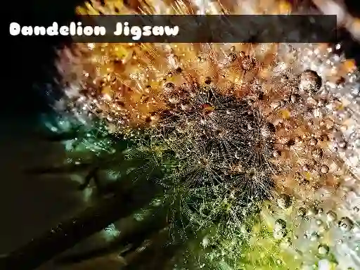 Spil Dandelion Jigsaw online
