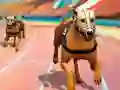 Dogs3D Races