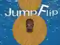 Jump Flip Jump Flip