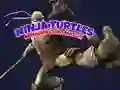 Ninja Turtles Memory card Match