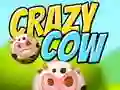 Crazy Cow Crazy Cow