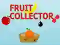 Fruit Collector Fruit Collector