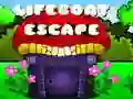 Lifeboat Escape Lifeboat Escape