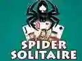 The Spider Solitaire