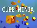 Cube Ninja