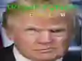 Trump Funny face Trump Funny face