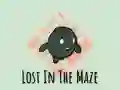 Lost In The Maze Lost In The Maze