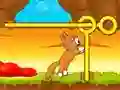 Save The Kitten Save The Kitten