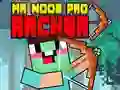 Mr Noob Pro Archer Mr Noob Pro Archer