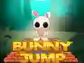Bunny Jump Bunny Jump