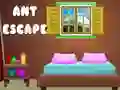 Ant Escape Ant Escape