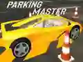 Parking Master Parking Master