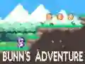 Bunn's Adventure Bunn's Adventure