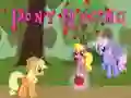 Pony Racing