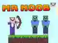Mr Noob