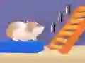 Hamster Stack Maze Hamster Stack Maze