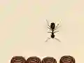 Smash All Ants Smash All Ants