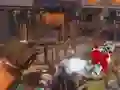 Toys Shooter: You vs Zombies Toys Shooter: You vs Zombies
