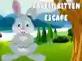 Rabbit Kitten Escape Rabbit Kitten Escape