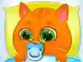 Lovely Virtual Cat