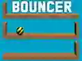 Bouncer Bouncer